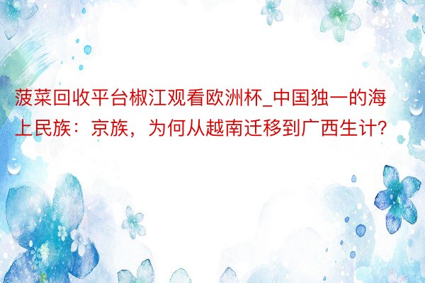菠菜回收平台椒江观看欧洲杯_中国独一的海上民族：京族，为何从越南迁移到广西生计？